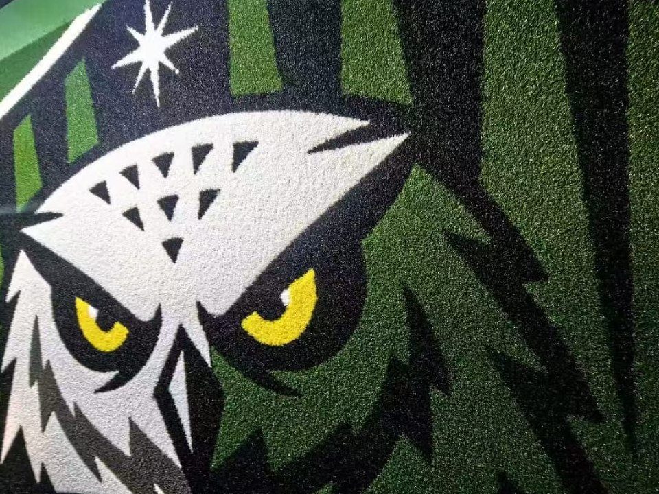 Close up of the owl in the Boréal Montreal turf crest showing sharp edges and fibre detail